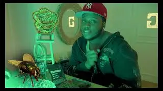 Lil Papercuts - HISTK ( Honey I Shrunk The Kids)  (@WHOTHECAMERAMAN)