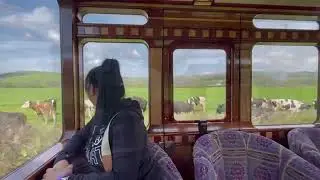 Vale of Rheidol Railway | Aberystwyth to Devil&rsquo;s Bridge and back, vintage train first class carriage