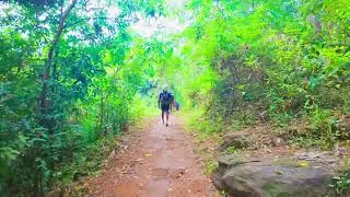 Sabarimala Yatra: Walking the Periya Pathai from Mukkuzhi to Pamba Forest