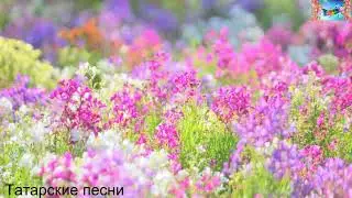 Татарские песни 57