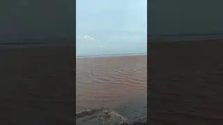 #viral #khambhat #dariya #sea #water #shorts