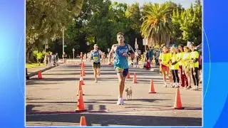 Jellybean, a tiny rescue dog, runs hundreds of miles with her owner every year