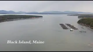 The Faces of Maine's Working Waterfront – Cooke Aquaculture