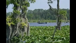 Easterlin Park in Fort Lauderdale Florida