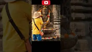monkey vlog at bhrama ji pushkar | #MonkeyVlog #viral #yt #DesiMonkey #AnimalVlogger #HinglishComedy