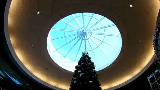 Disney's Pop Century Resort - walking from the room to the bussing area - WDW, Florida
