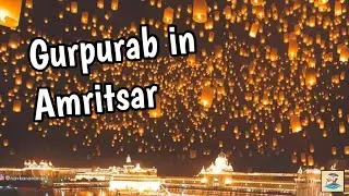 Gurpurab celebration in Amritsar😍 | Gurpurab in Amritsar | Gurpurab celebration | Amritsari Explorer