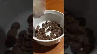 ASMR Choco Shell #satisfying #asmr #reverse #shorts