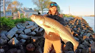 MONSTER Striped Bass in Cape Cod Canal! **Catch, Clean, & Cook**