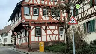 🤠Seewaldseen🏊&zwj;♂️Hamberger See🦆Eselsburg 🏰