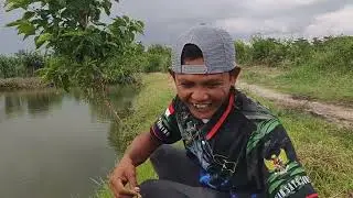 Perdana TM kolm kek Herman tgl 27/12/2025 tkt 100 RB jam 10 malam target 35 orang pauh