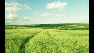 Planet Explorer OST - Grassland
