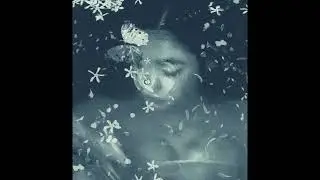 (free) erykah badu x sade x neo soul type beat 