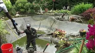 🐟 Verschlammter Teich mit Kois – höchste Zeit zu handeln! // Muddy Pond, But Koi Still Survive!
