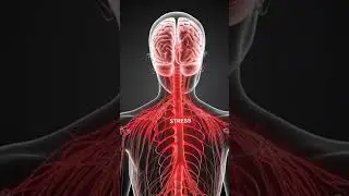 Your Body Talks Through These Symptoms #healthshorts