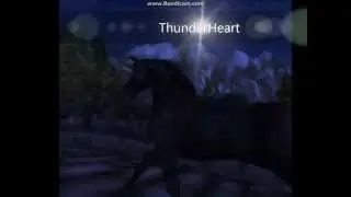 Star Stable Online~Music Video~ Wide Awake