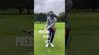 Strike your chip shots #golfcoach #golftips #golfingtips #shortgame golfpassion
