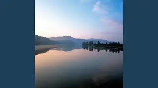 Davki