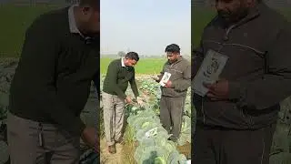 ਜਲਦੀ ਲਗਾਓ ਮੁਨਾਫ਼ਾ ਕਮਾਓ 