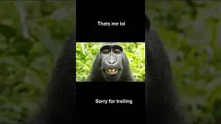 Face reveal #subscribe #viral #foryou #followme #fypシ #funny #trolling #sorry #facereveal #srrynoob