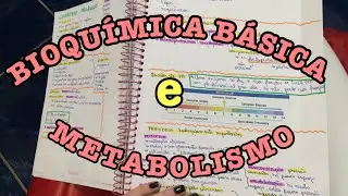 O QUE EU ESTUDEI NO PRIMEIRO SEMESTRE DE ENFERMAGEM (bioqu&iacute;mica b&aacute;sica e metabolismo)