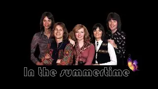 IN THE SUMMERTIME - THE NEW SEEKERS