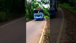 රූට් කෙම්ල  💙