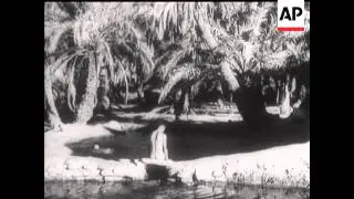 Western Desert News