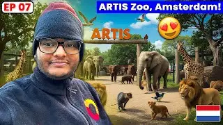 A Day at ARTIS Zoo Amsterdam 🇳🇱 | Wildlife & Fun