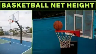 basketball net height | basketball rim height | basketball board height | basketball ring height