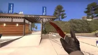 Falchion Slaughter - Factory New - CS:GO Skin Showcase