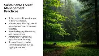Sustainable Forest Management - Slideshow Digital Audio Presentation