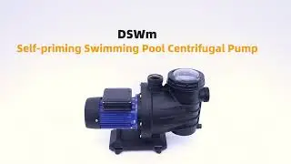 High Efficiency | DAYUAN's DSWm Swimming Pool Pump