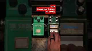 Tube screamer TS808 vs TS9! What&rsquo;s your favorite? #ibanez #guitarists #guitarpedals #distortion