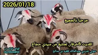 #بفضل الله #تقديت 6 لخرفان بدارا #لمتتبع من سيدي حجاج الله يربحو 2026/01/18 #مرحبا__بالجميع #برطاجي