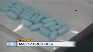 Wesley Chapel couple arrested in drug investigation