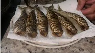TARRAFADA DE SARDINHA - Sardinha Frita com Limão