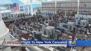 Slow Down Forced Flights To Be Cancelled
