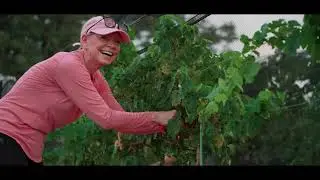 Savage Ranch & Vineyard - Our Vineyard Story