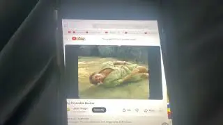 The Wiggles Steve Irwin (Wiggly Safari)