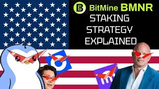 BMNR Staking Explained (MAVAN)