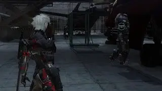 That one heavy cyborg (Metal Gear Rising)