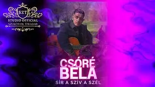 🔵KIS CS&Oacute;R&Eacute; B&Eacute;LA x S&Iacute;R A SZ&Iacute;V A SZ&Eacute;L
