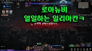 여기 오니까 분위기 완전 달라지네…로아뉴비