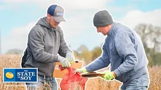 Premiums For Soybeans With Differing Qualities