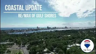 The Pro Team 11 Month Foley Market Update 2025