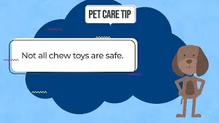 Pet Care Tips: Safe Chew Toys - Dogs