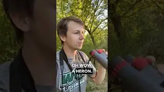 When you think you found a cool bird&hellip;but it&rsquo;s something else