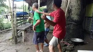 Tinga labac