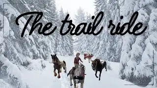 Trail riding gone wrong ￼